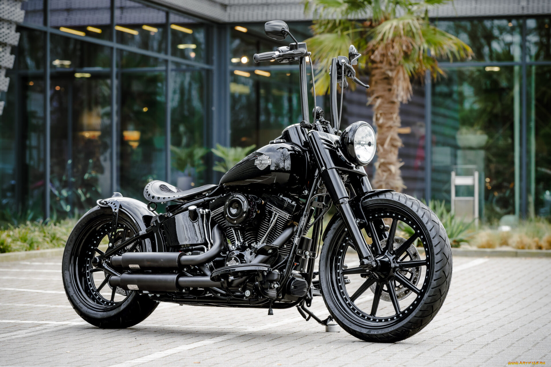 , harley-davidson, softail, slim, s, dark, hopper, customized, custombikes